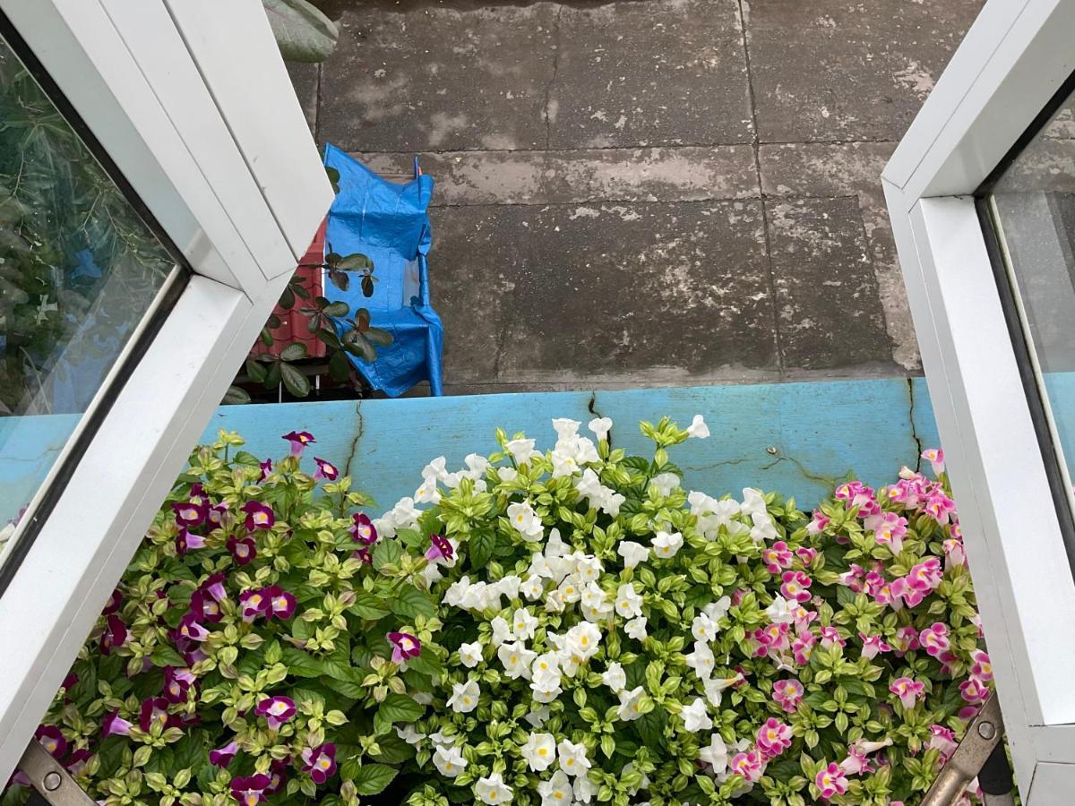 An Na Binh Homestay 호이안 외부 사진